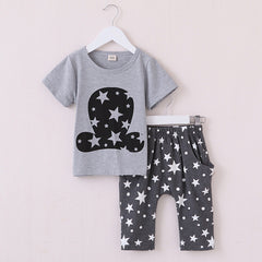 Rabbit Pattern Toddler Boys Clothing Set